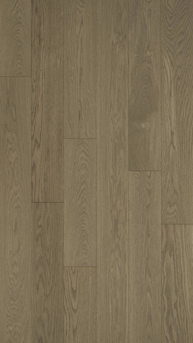 Ingénierie Frêne Blanc européen 6 x 3/4 Select et meilleur - Toffee Cr ...