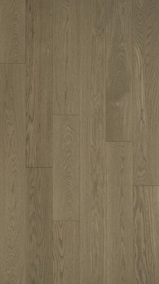 Ingénierie Frêne Blanc européen 6 x 3/4 Select et meilleur - Toffee Crunch