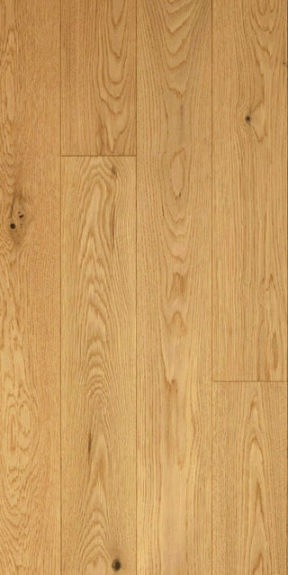 Ingénierie Chêne Blanc 7 1/2 x 3/4 Avec 3MM Top Taurus