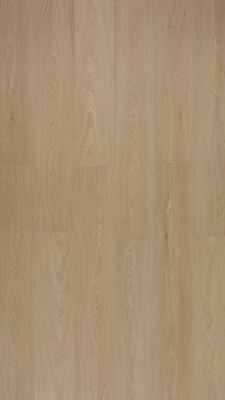 Vinyle Vidar 8mmx 60" VS81 Macaroon